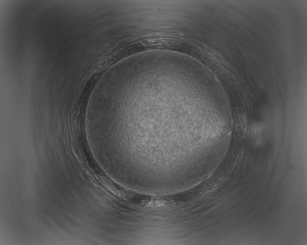 X0000084560751200702231232