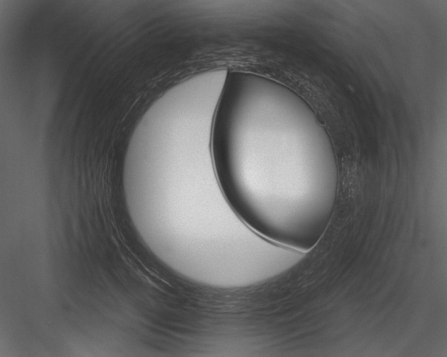 X0000084560752200702231232