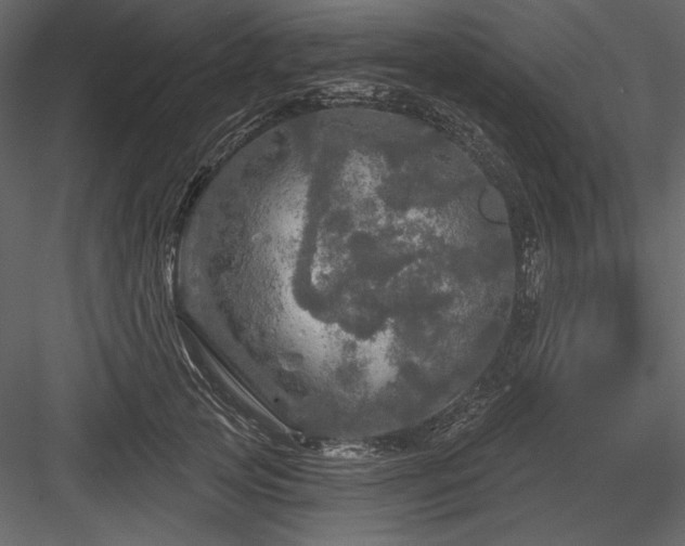 X0000084560753200702231232