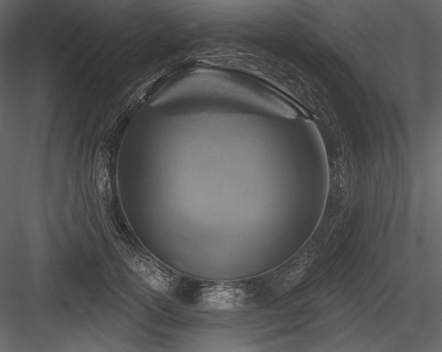 X0000084560754200702231232