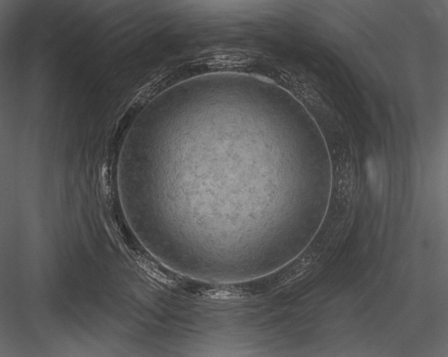 X0000084560755200702231232