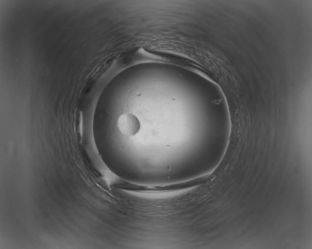 X0000084560756200702231232