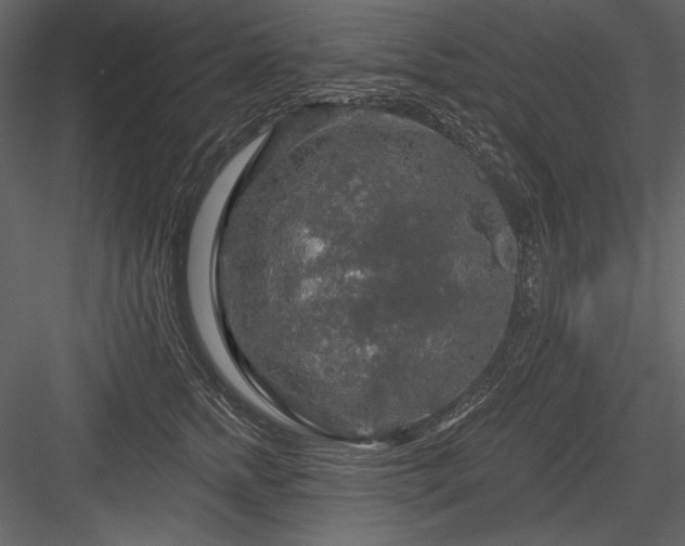 X0000084560758200702231232
