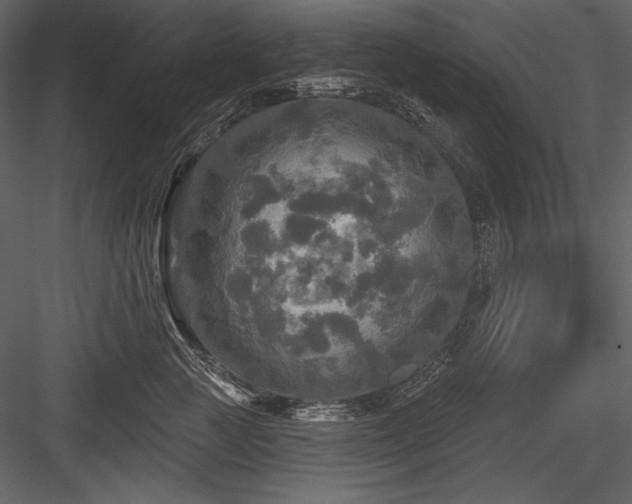 X0000084560761200702231232