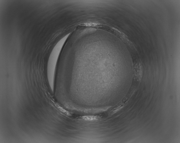 X0000084560762200702231232