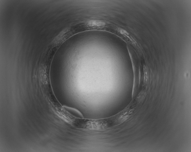 X0000084560764200702231232