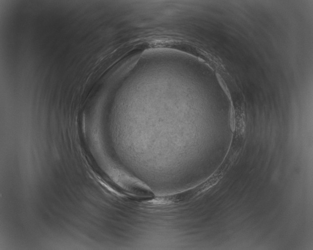 X0000084560766200702231232