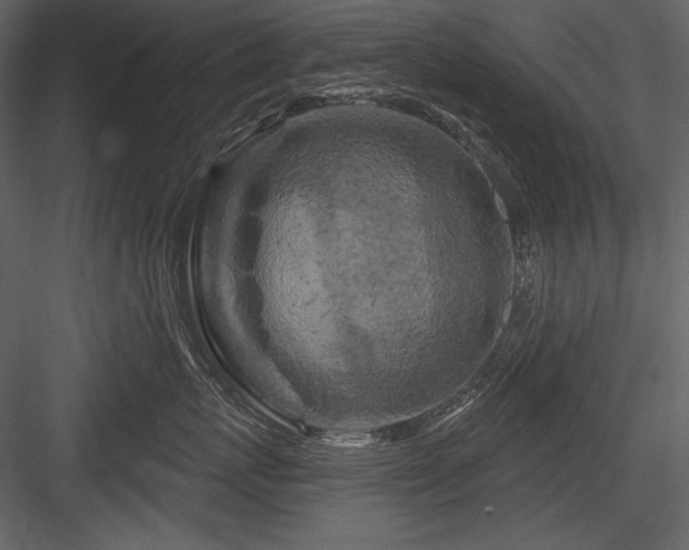 X0000084560767200702231232