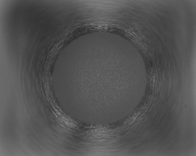 X0000084560769200702231231