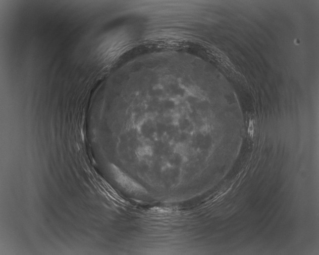 X0000084560771200702231231