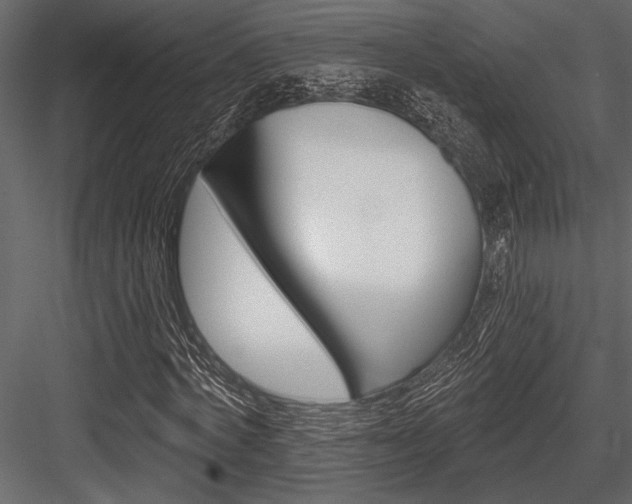 X0000084560772200702231231
