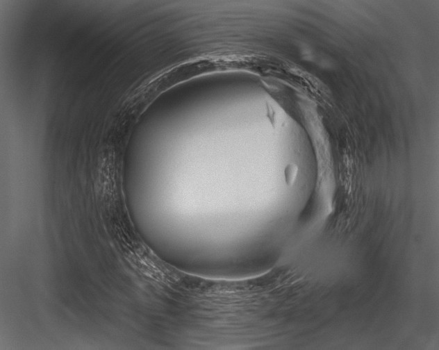 X0000084560773200702231231