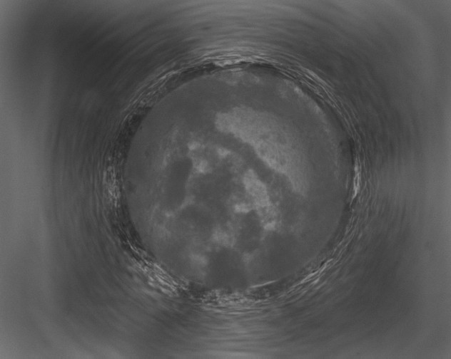 X0000084560774200702231231