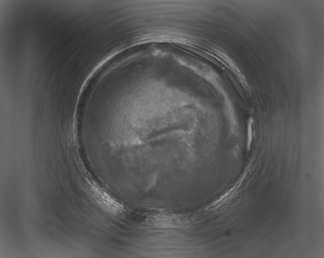 X0000084560780200702231231
