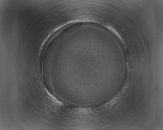 X0000084560781200702231231