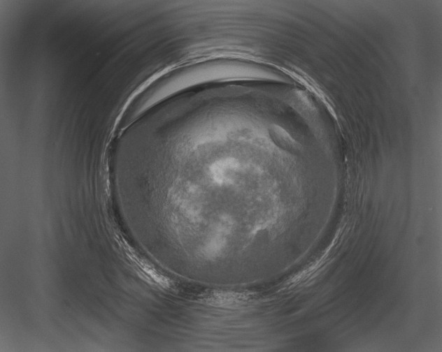 X0000084560782200702231231