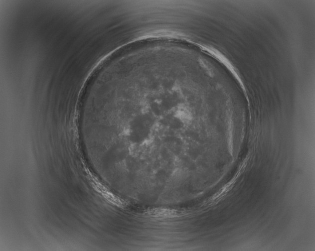 X0000084560783200702231231