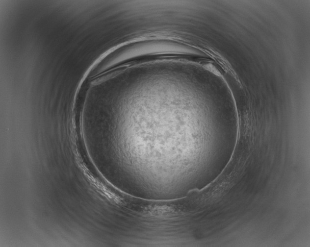 X0000084560784200702231231