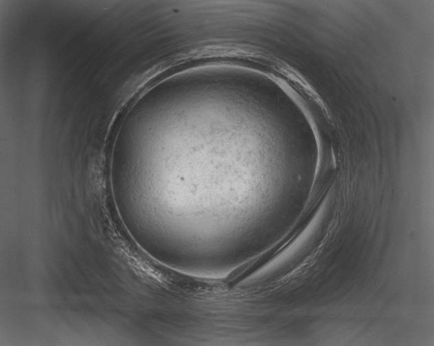 X0000084560786200702231231