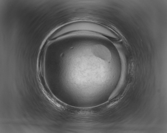 X0000084560788200702231231