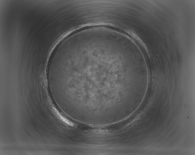 X0000084560789200702231231