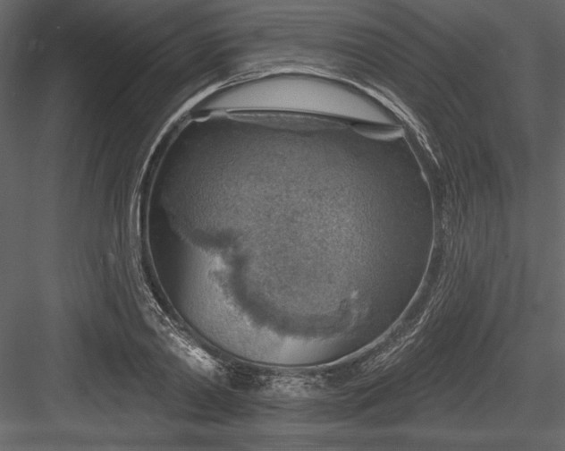 X0000084560790200702231231