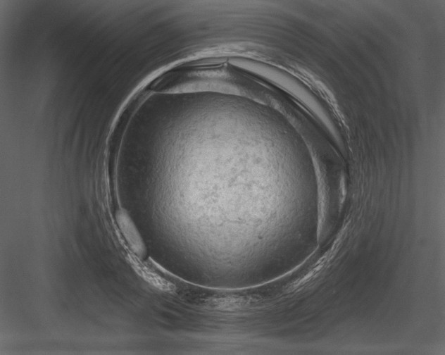 X0000084560792200702231231
