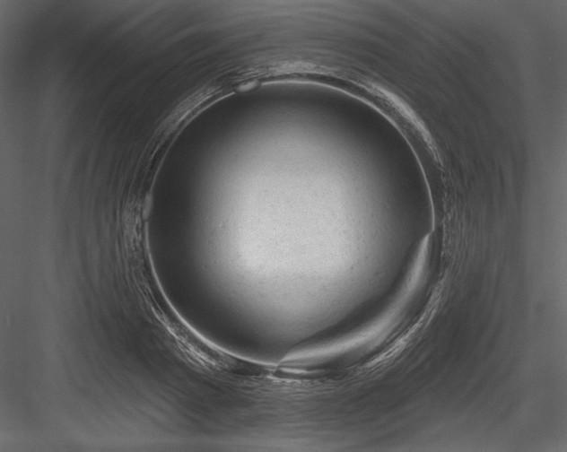 X0000084560793200702231231