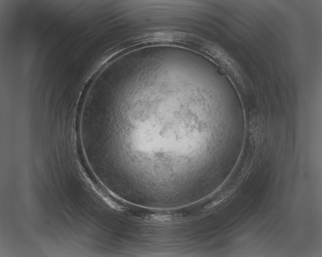 X0000084560794200702231231