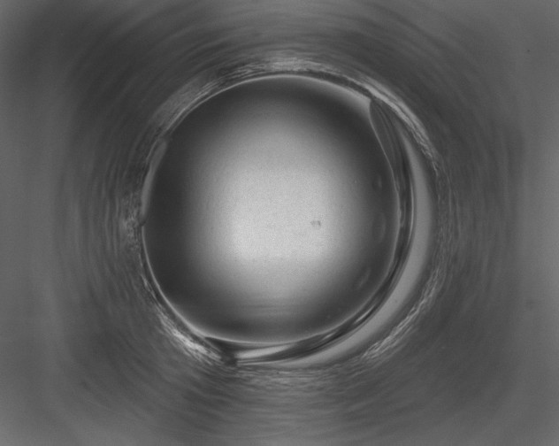 X0000084560801200702231230