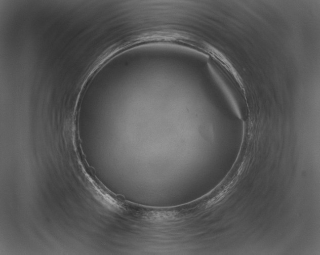 X0000084560802200702231230