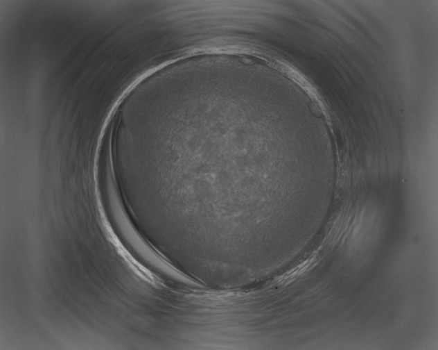 X0000084560803200702231230