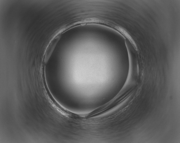 X0000084560805200702231230