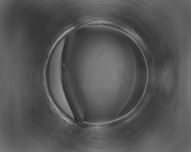 X0000084560806200702231230