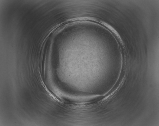 X0000084560809200702231230