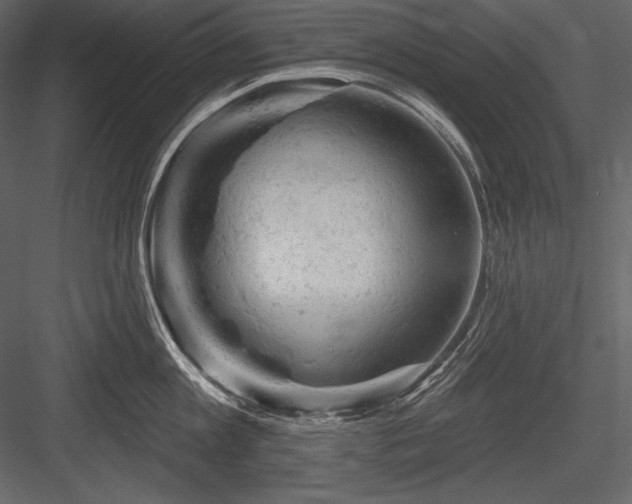 X0000084560813200702231230