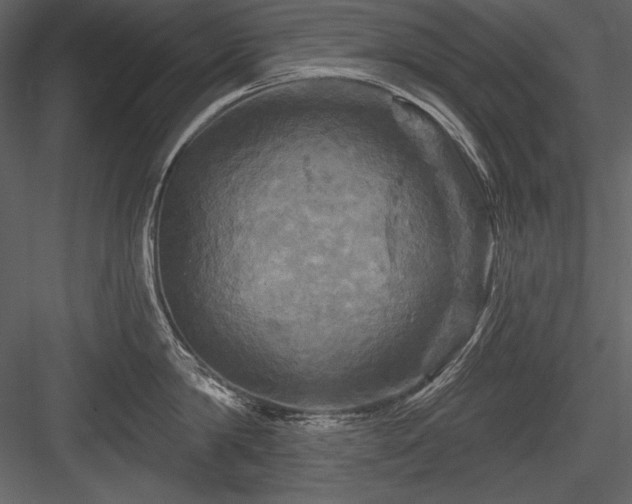 X0000084560814200702231230
