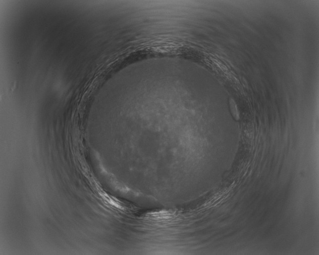 X0000084560817200702231229