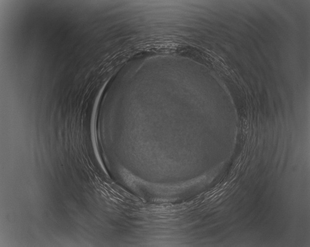 X0000084560818200702231229