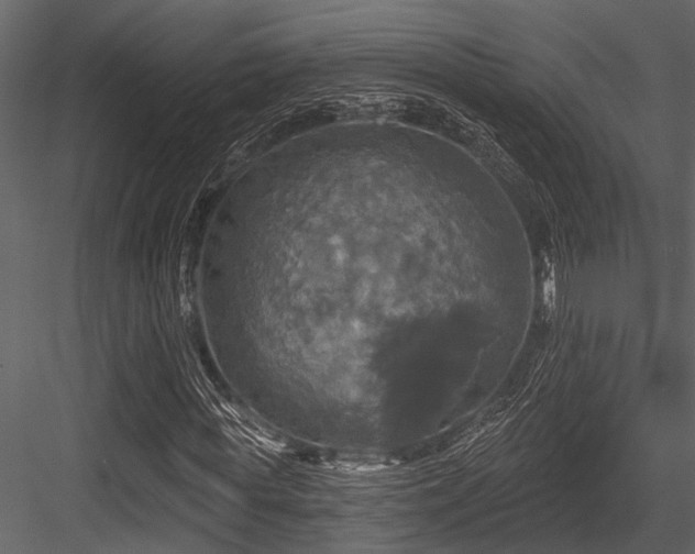 X0000084560819200702231229