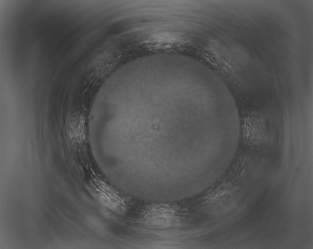 X0000084560820200702231229