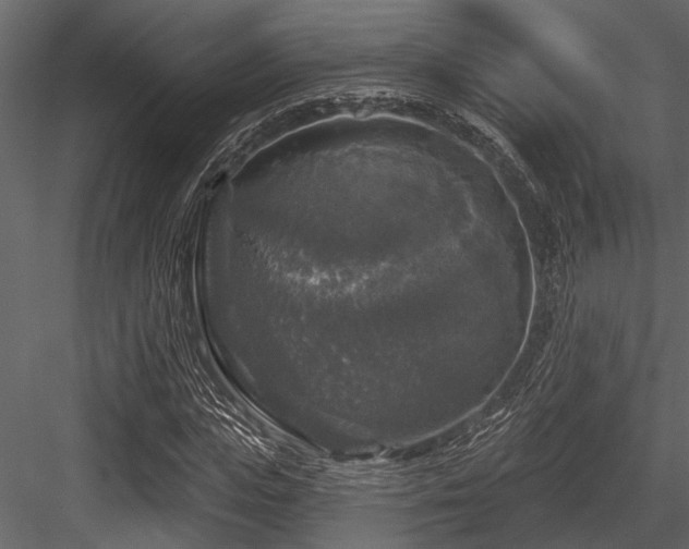 X0000084560823200702231229