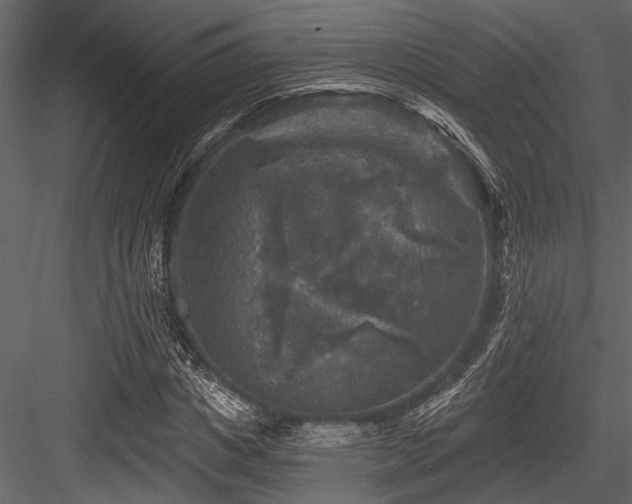 X0000084560825200702231229