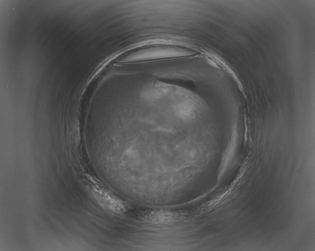 X0000084560829200702231229
