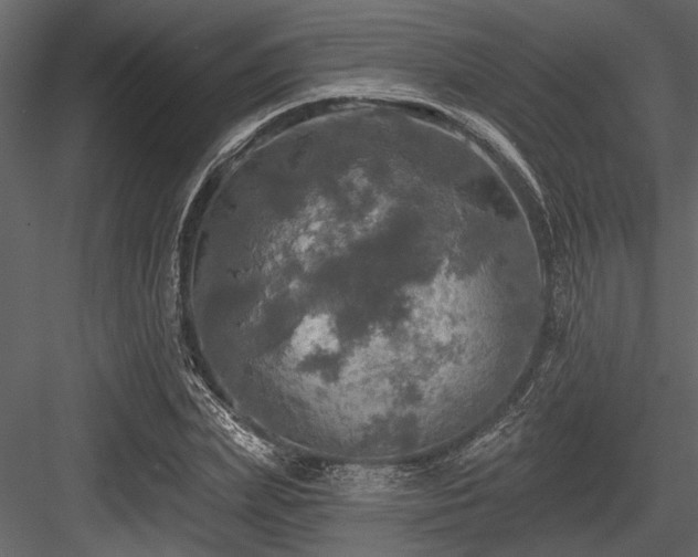 X0000084560831200702231230