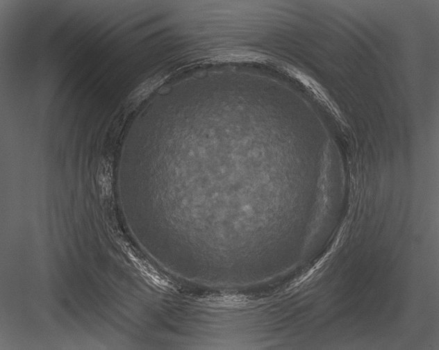 X0000084560833200702231230