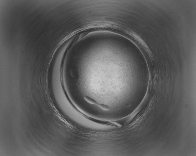 X0000084560834200702231230