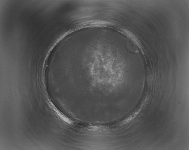 X0000084560835200702231230