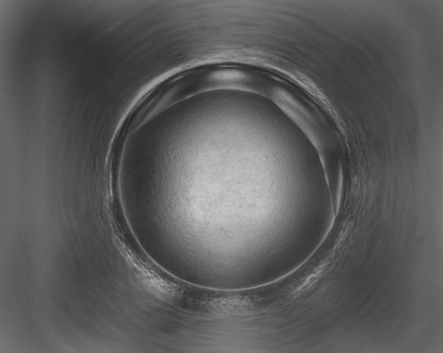 X0000084560838200702231230