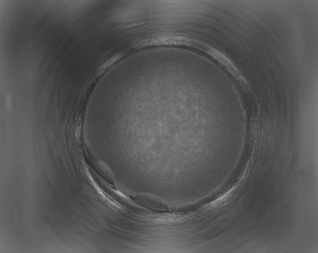 X0000084560841200702231230